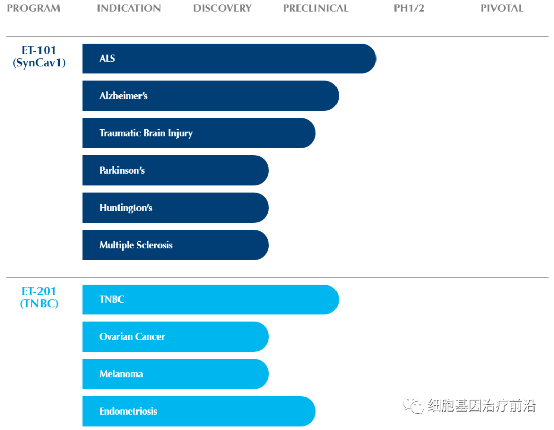 Eikonoklastes基因疗法获得孤儿药认定，有望治疗渐冻症