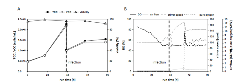 细胞培养工艺设计实质性，高抗剪切性