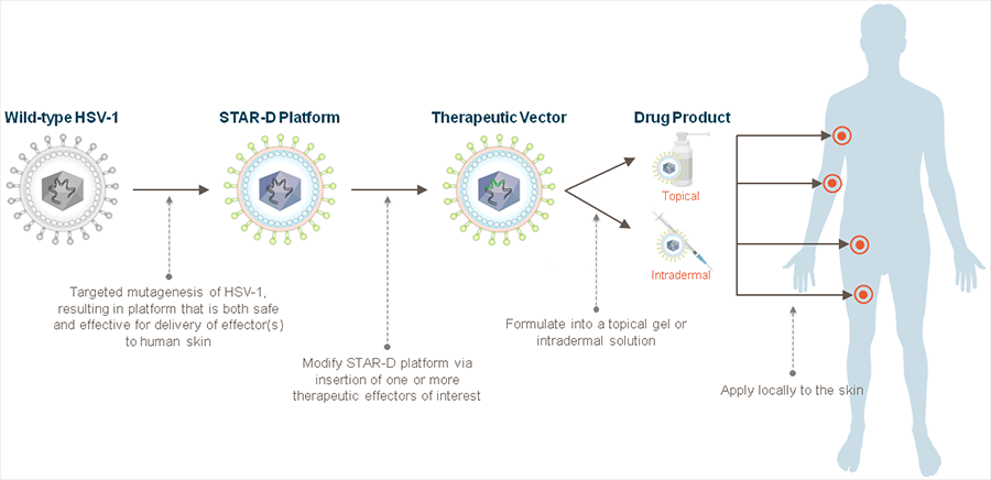 拯救“蝴蝶宝贝”！全球首款基因疗法来自一对“医药夫妻”